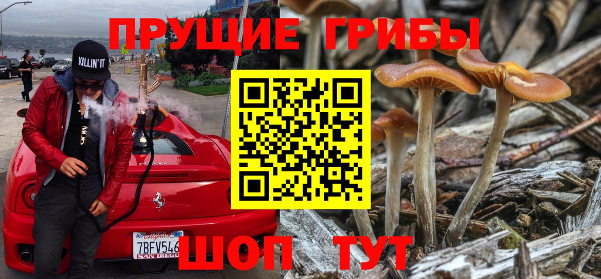Псилоцибиновые грибы GOLDEN TEACHER  Псилоцибиновые грибы ЛСД  Вход с VPN  цена   Ессентуки 